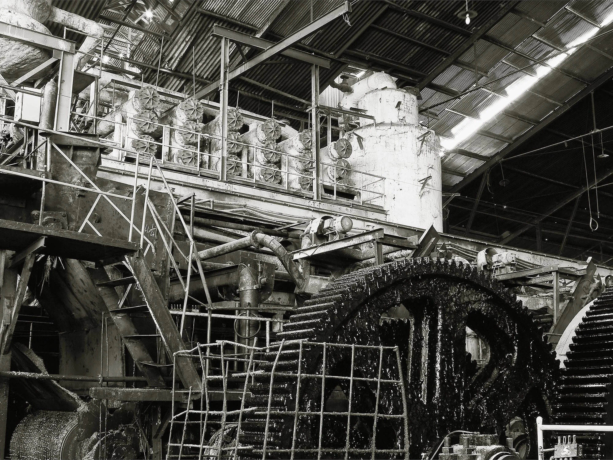 614-I. De la serie Oro seco