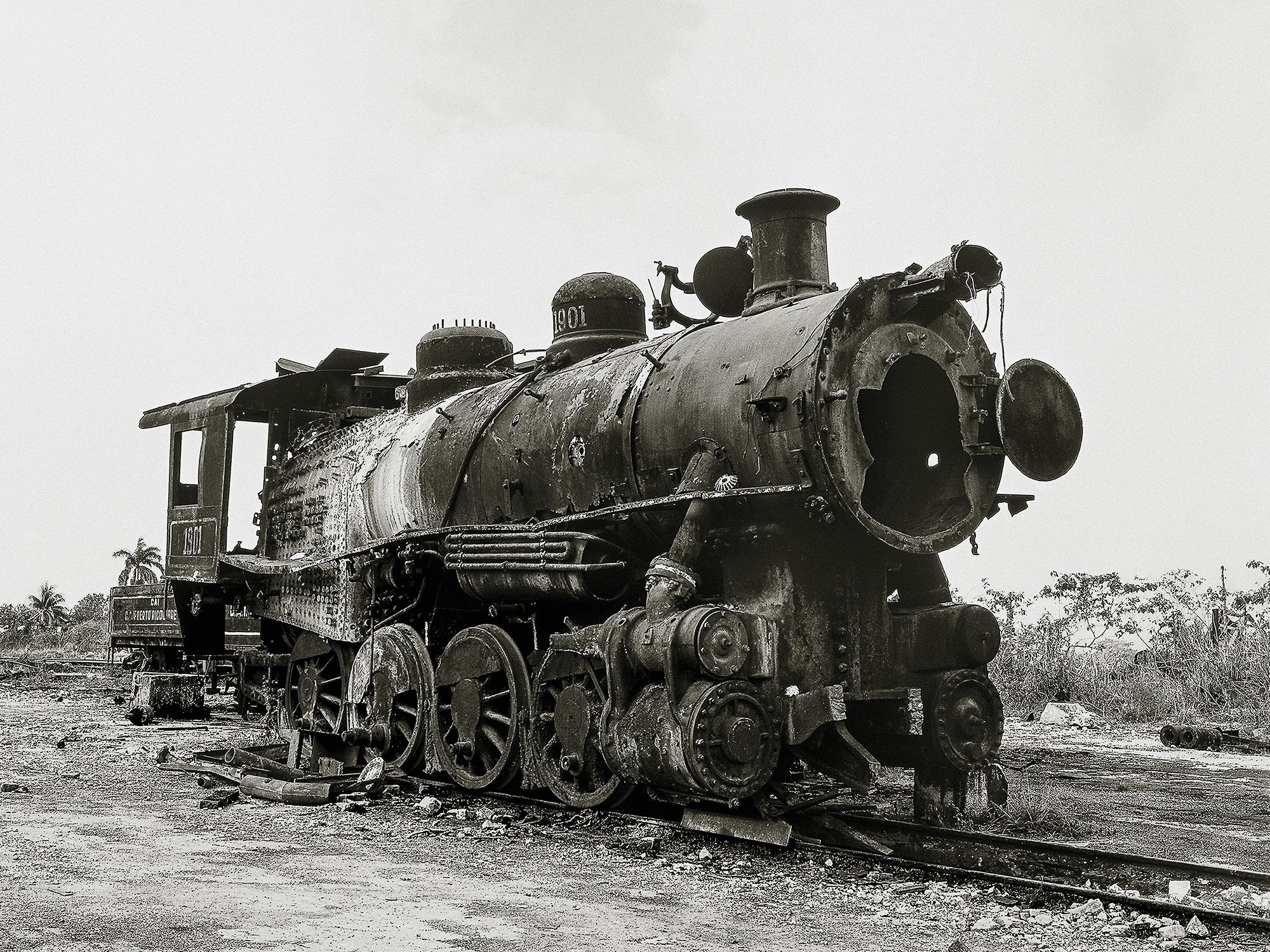 305-I. De la serie Oro seco