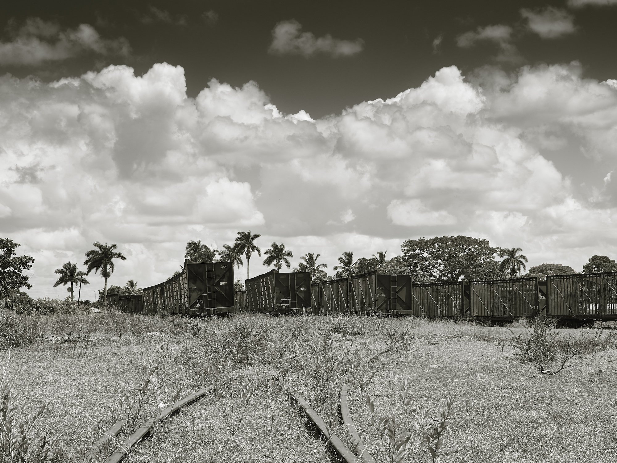 403-I. De la serie Oro seco