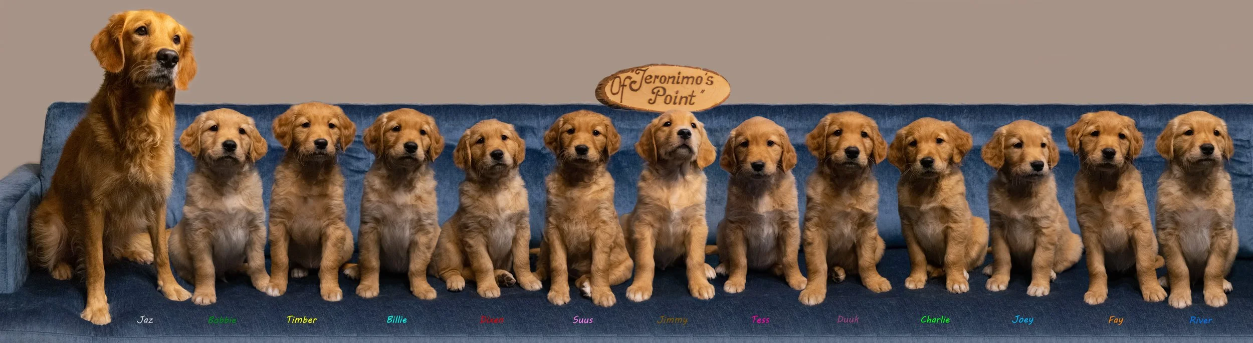 De bende van 12-met namen_DEF.jpg