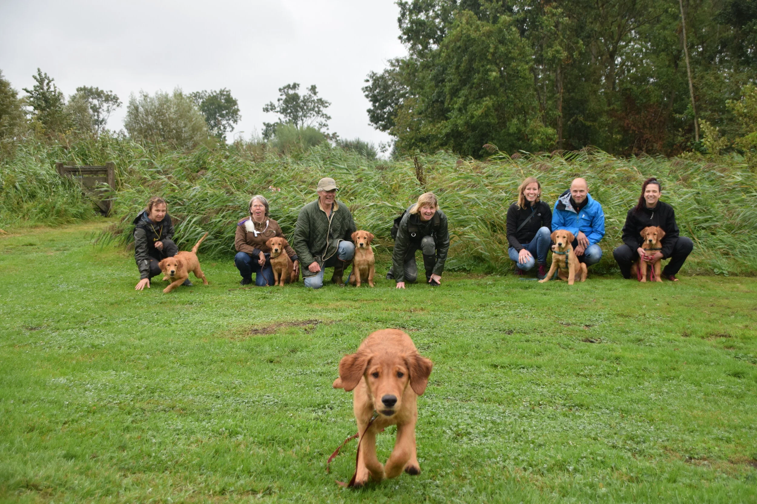 2019-09-11 nesttraining (46).JPG