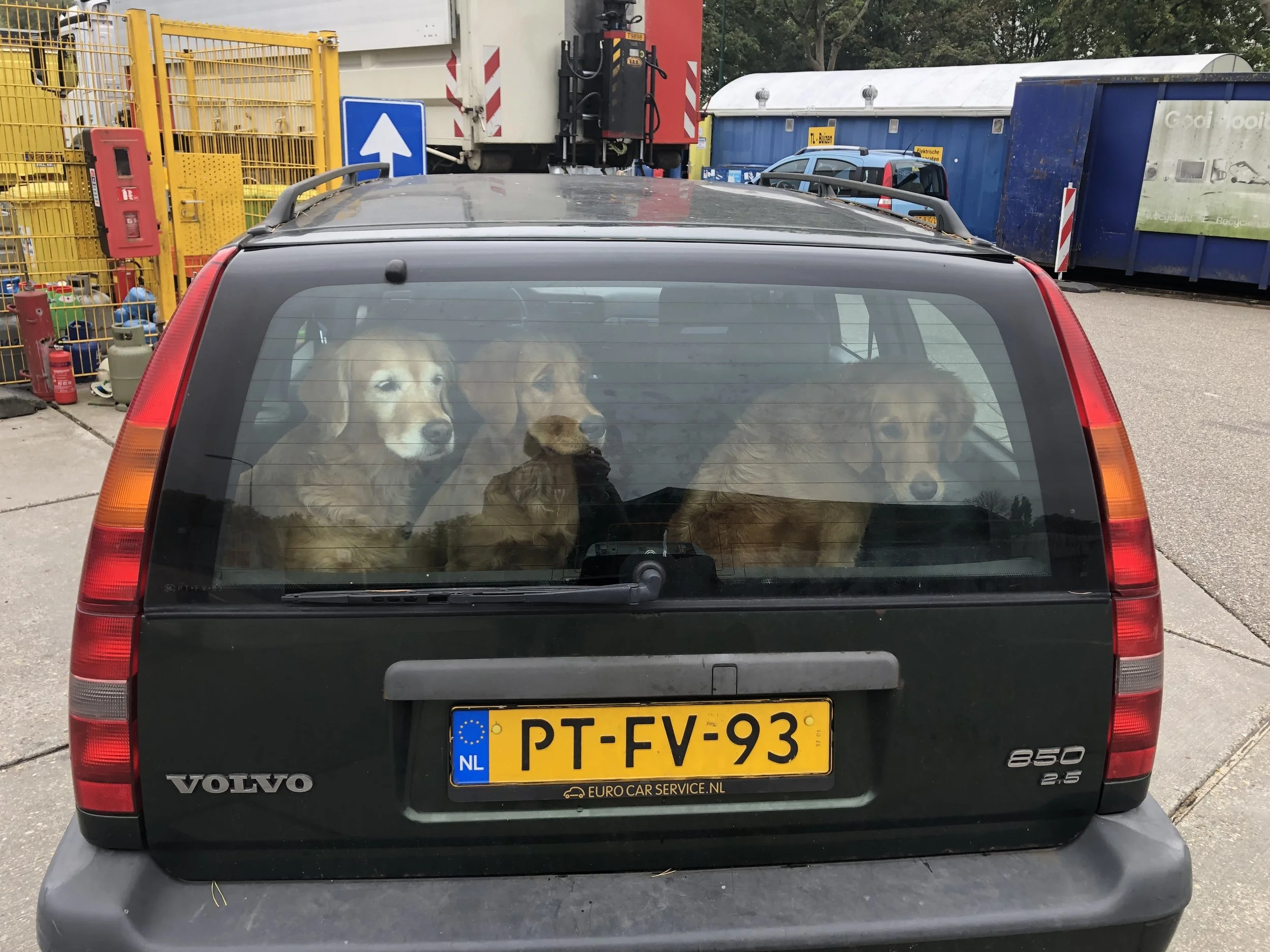 2019-10-07 milieustraat.JPG