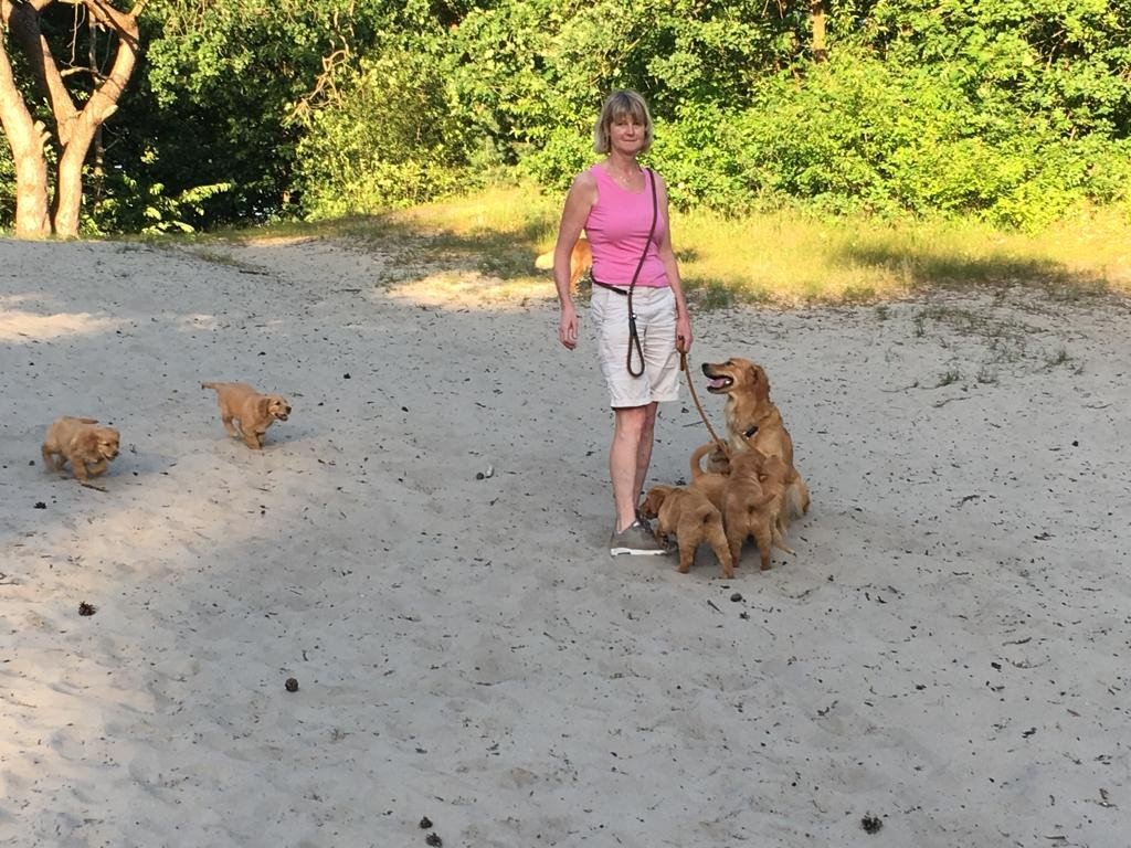 2019-07-07 Okkersbos.JPG