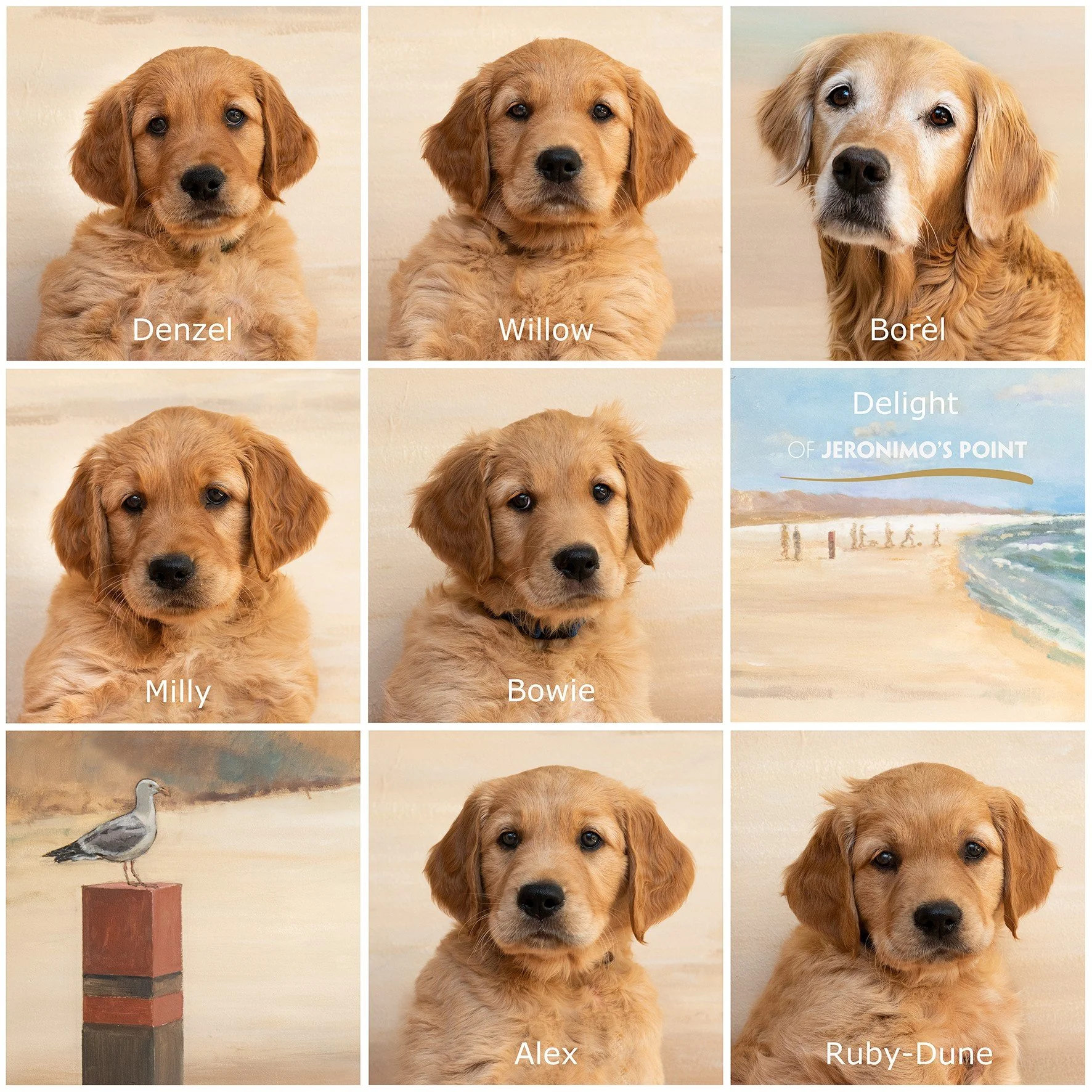 Collage-Zand-Namen (002).jpg