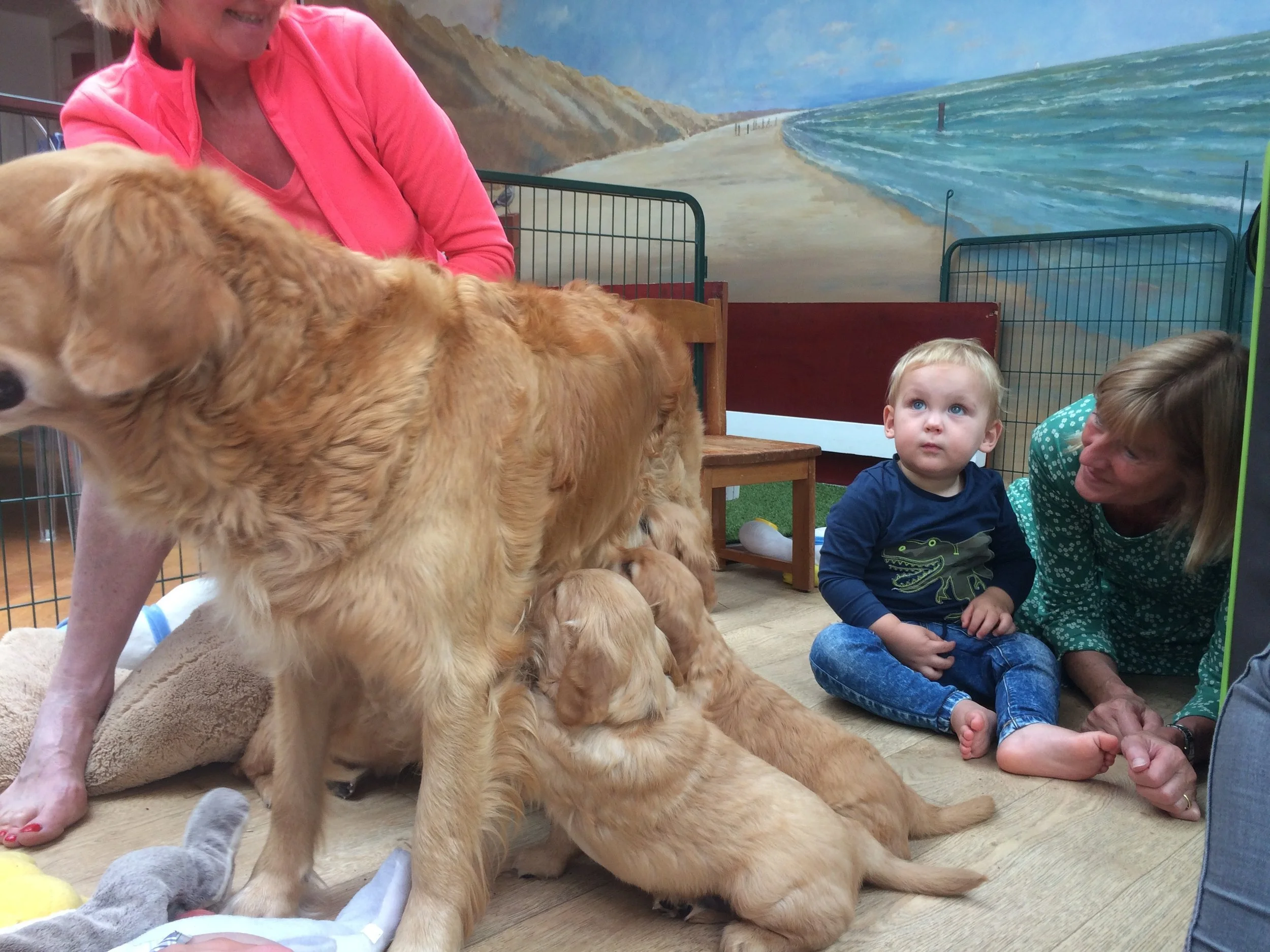 2017-07-24 (103).JPG