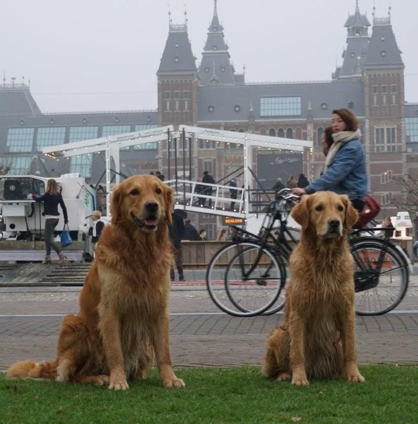 2014-11-30 met mn broer cultuursnuiven in Amsterdam.jpg