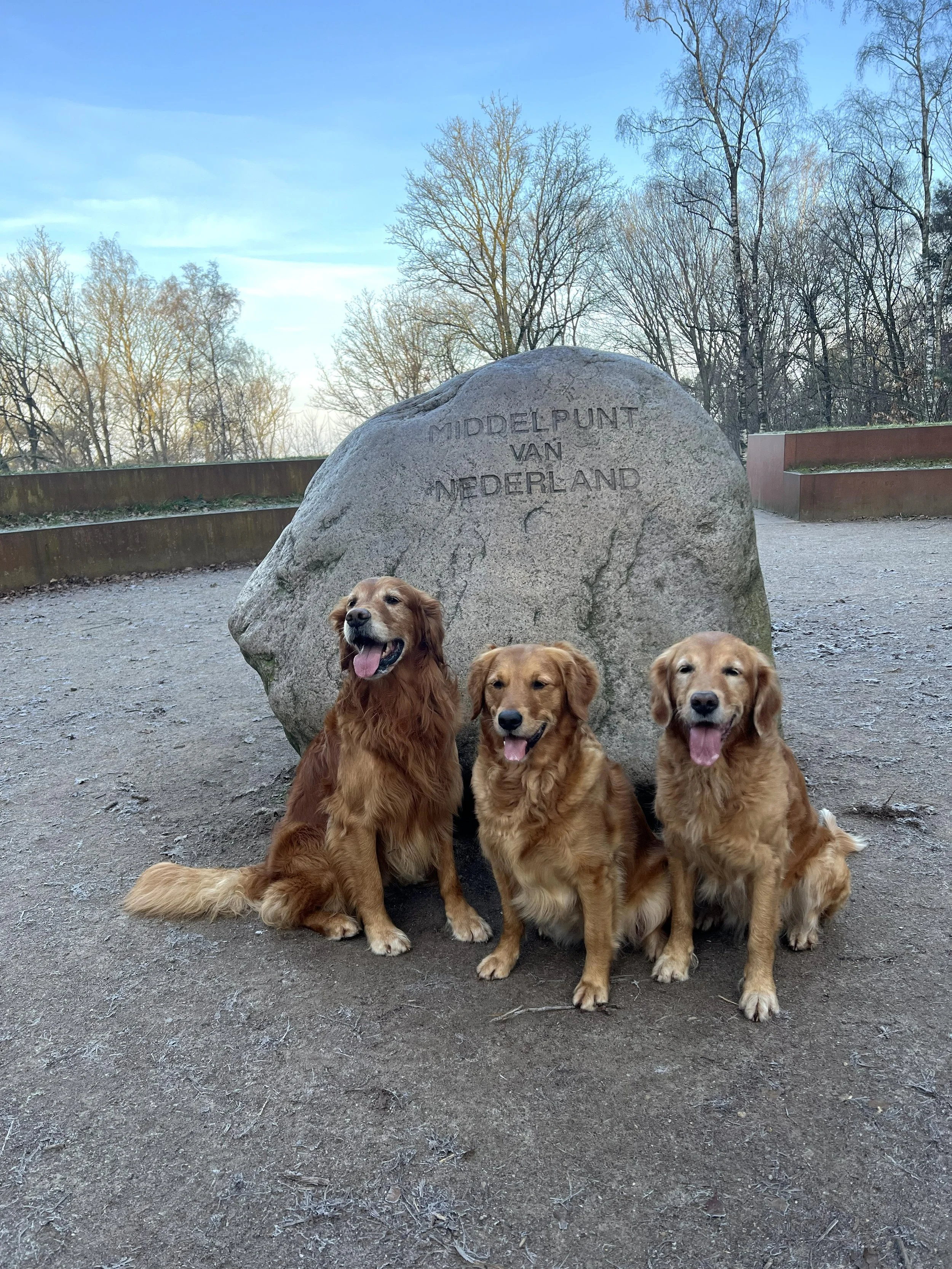 20260215  Denzel Billie Jaz.jpg