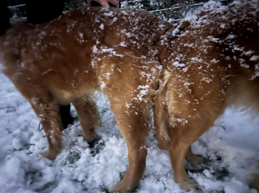 hoofdpagina foto.png