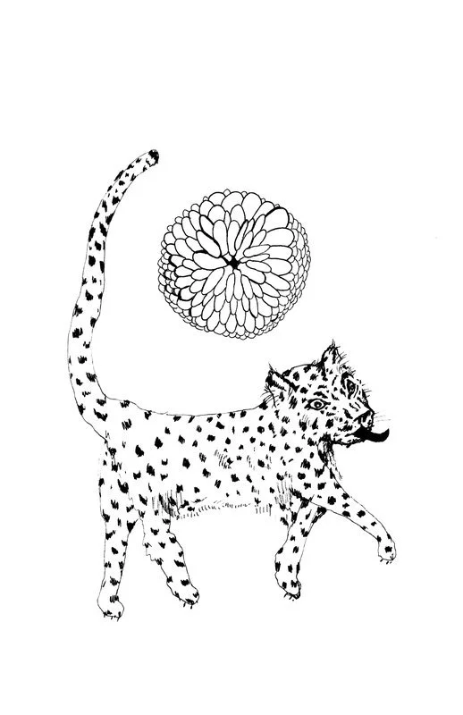 no. 0008 - Lotus Leopard