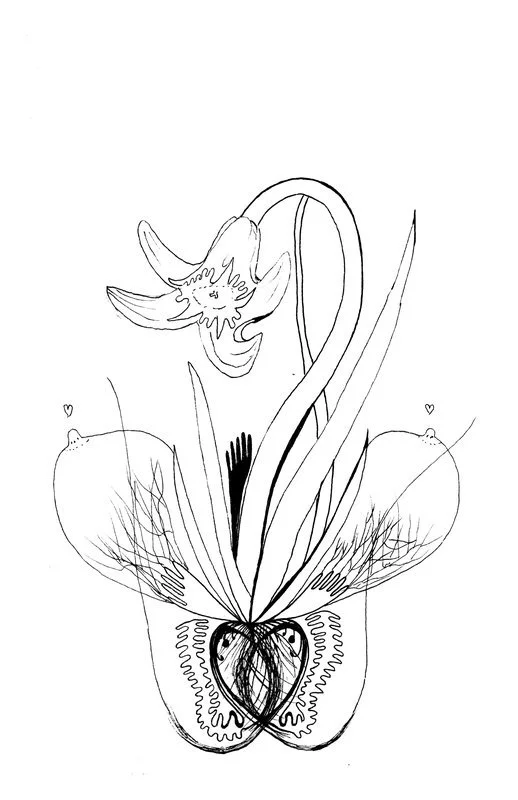 no. 0045 - Narcissus