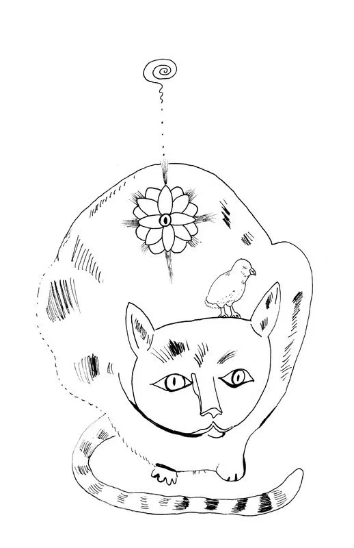 no. 0073 - Cat Qi
