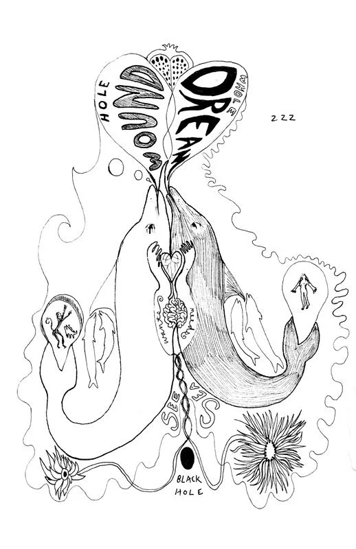 no. 0027 - Dolphin Needs 222