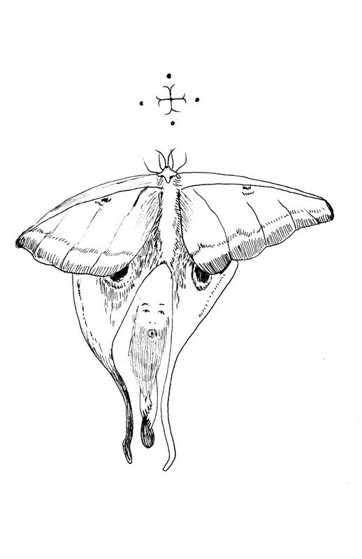 no. 0077 - Wings and Whispers