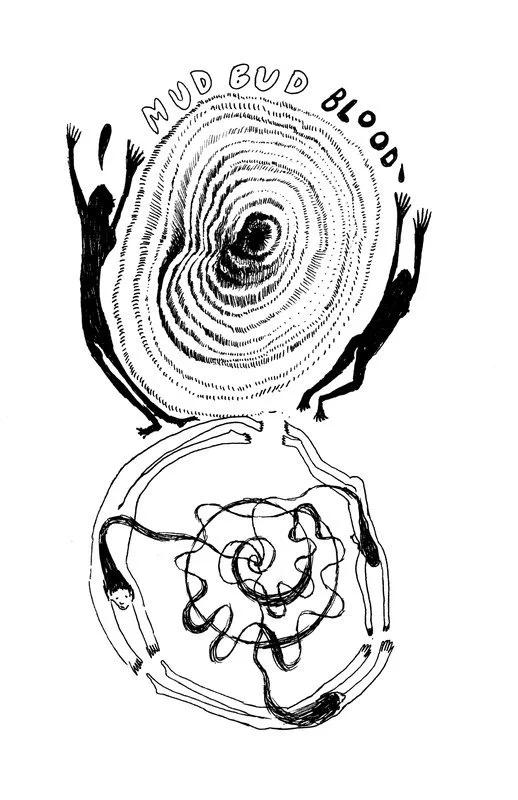 no. 0017 - The Shallows