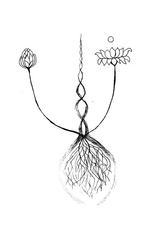 no. 0066 Closed | Open