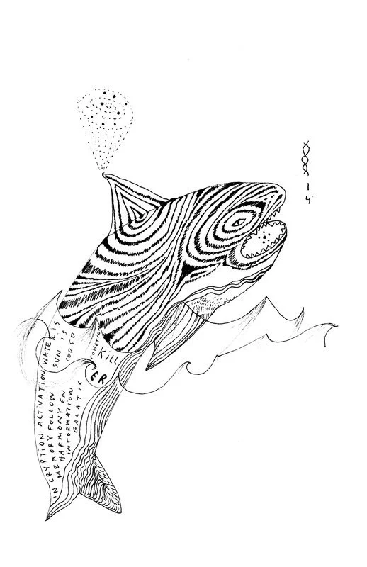 no. 0068 - Killer Whale