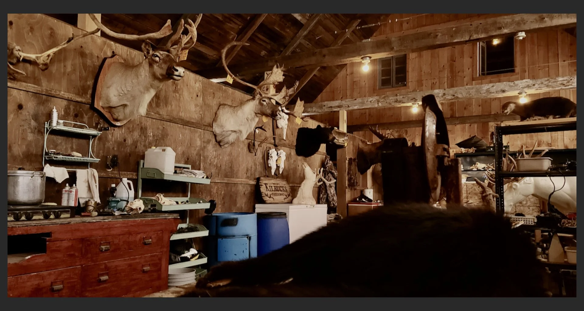 Addition Website April 2026.008.jpeg