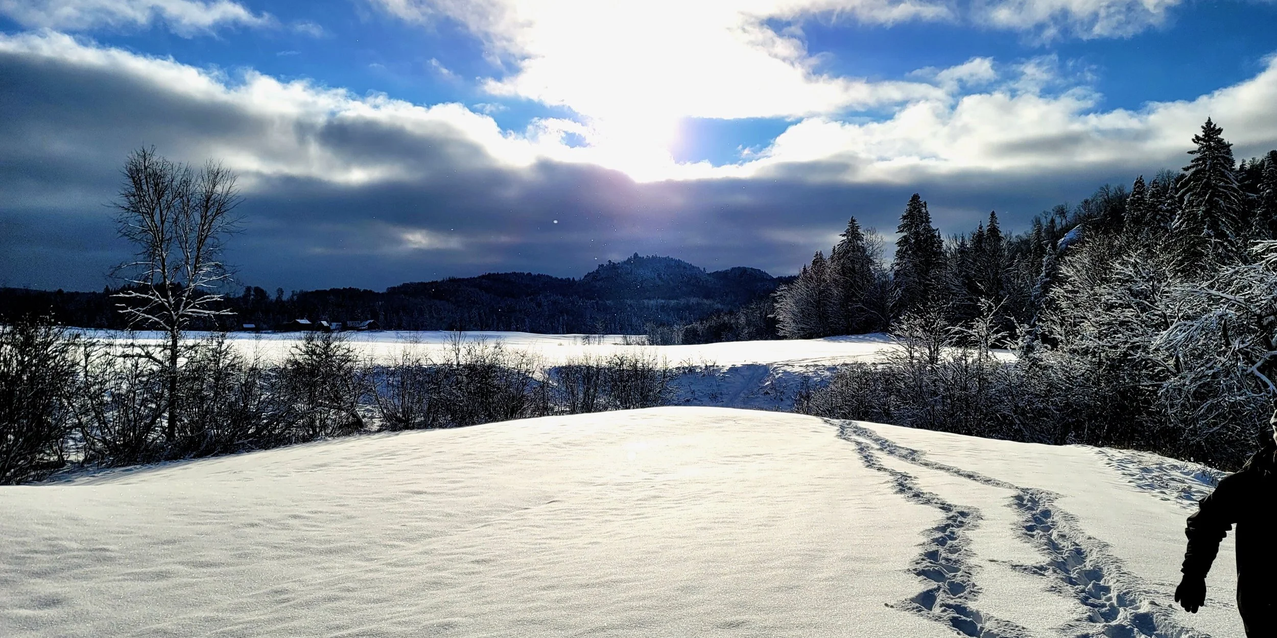 Screenshot 2026-01-29 at 3.44.44 PM (1).jpeg