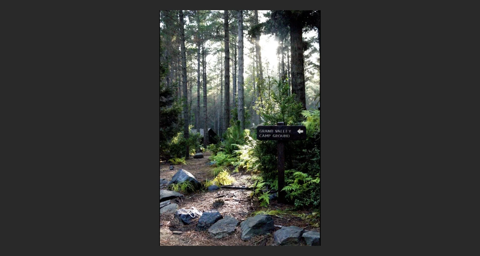 Addition Website April 2026.022.jpeg