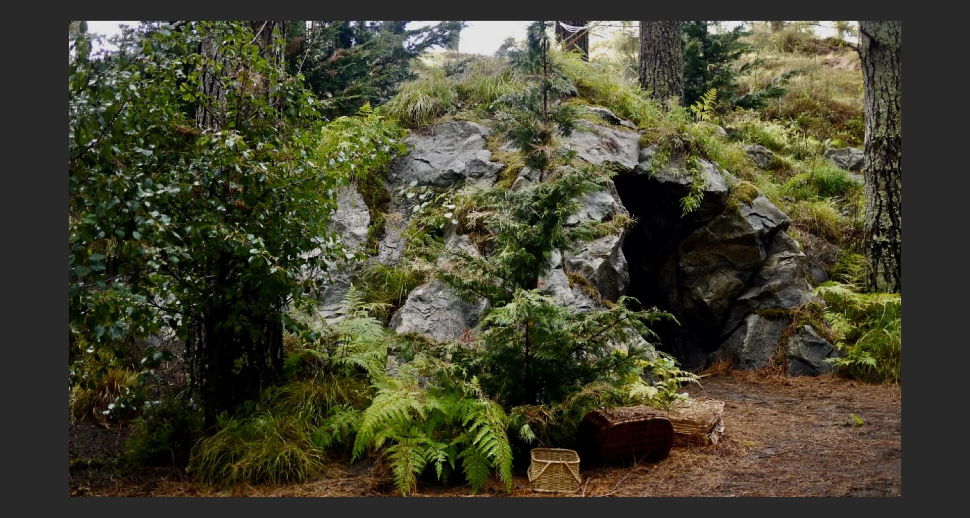 Addition Website April 2026.020.jpeg