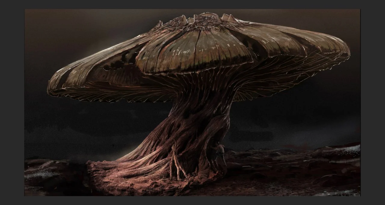 Everything Else.032.jpeg