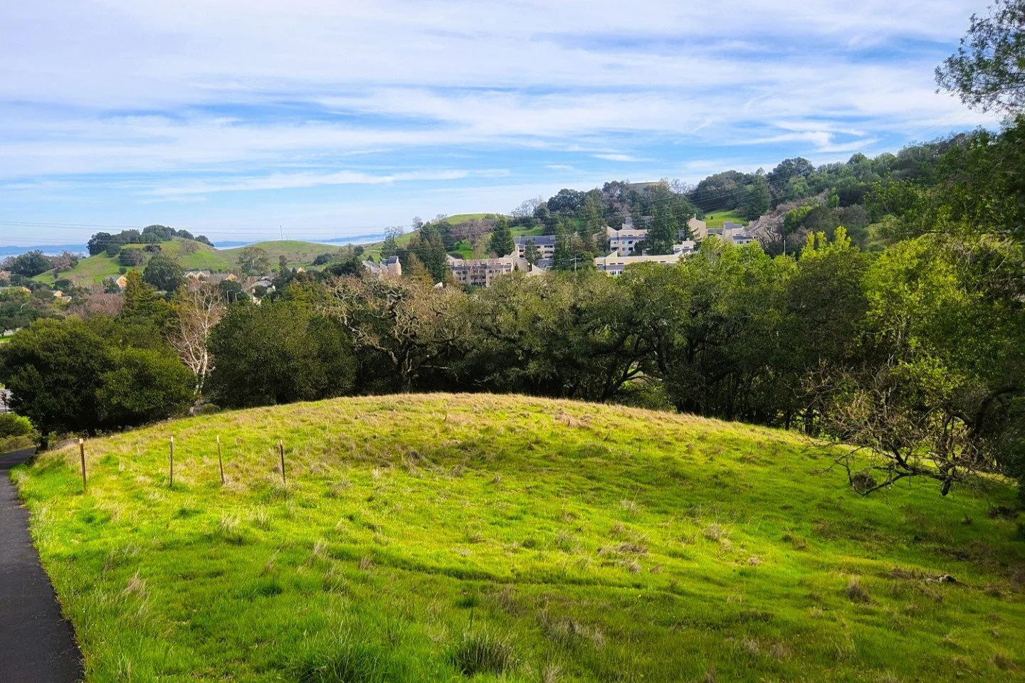A scenic landscape of rolling green hills, trees, and a pathway leading through the grass, with houses visible in the distance under a blue sky with clouds.