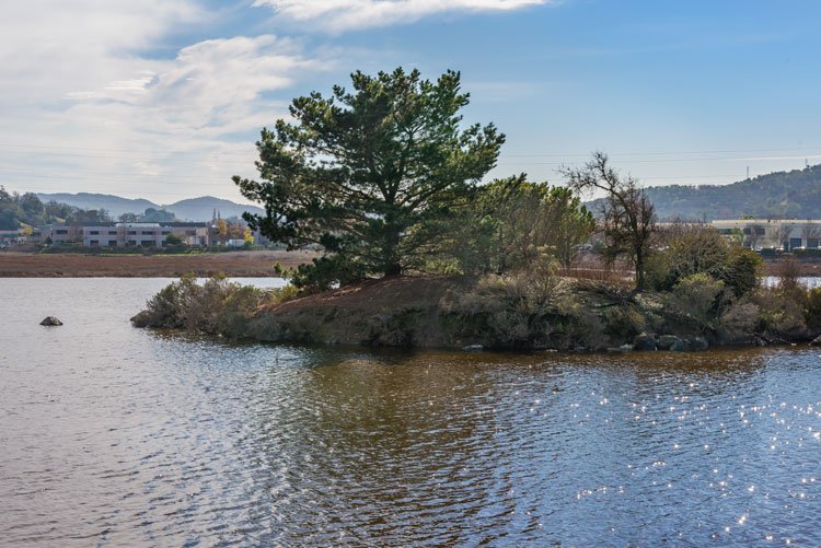 A small island with trees surrounded by water, with a cityscape and hills in the background under a partly cloudy sky.