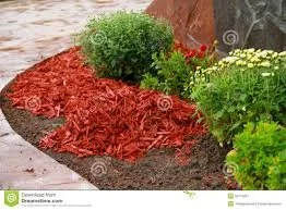 Mulch 5.jpg