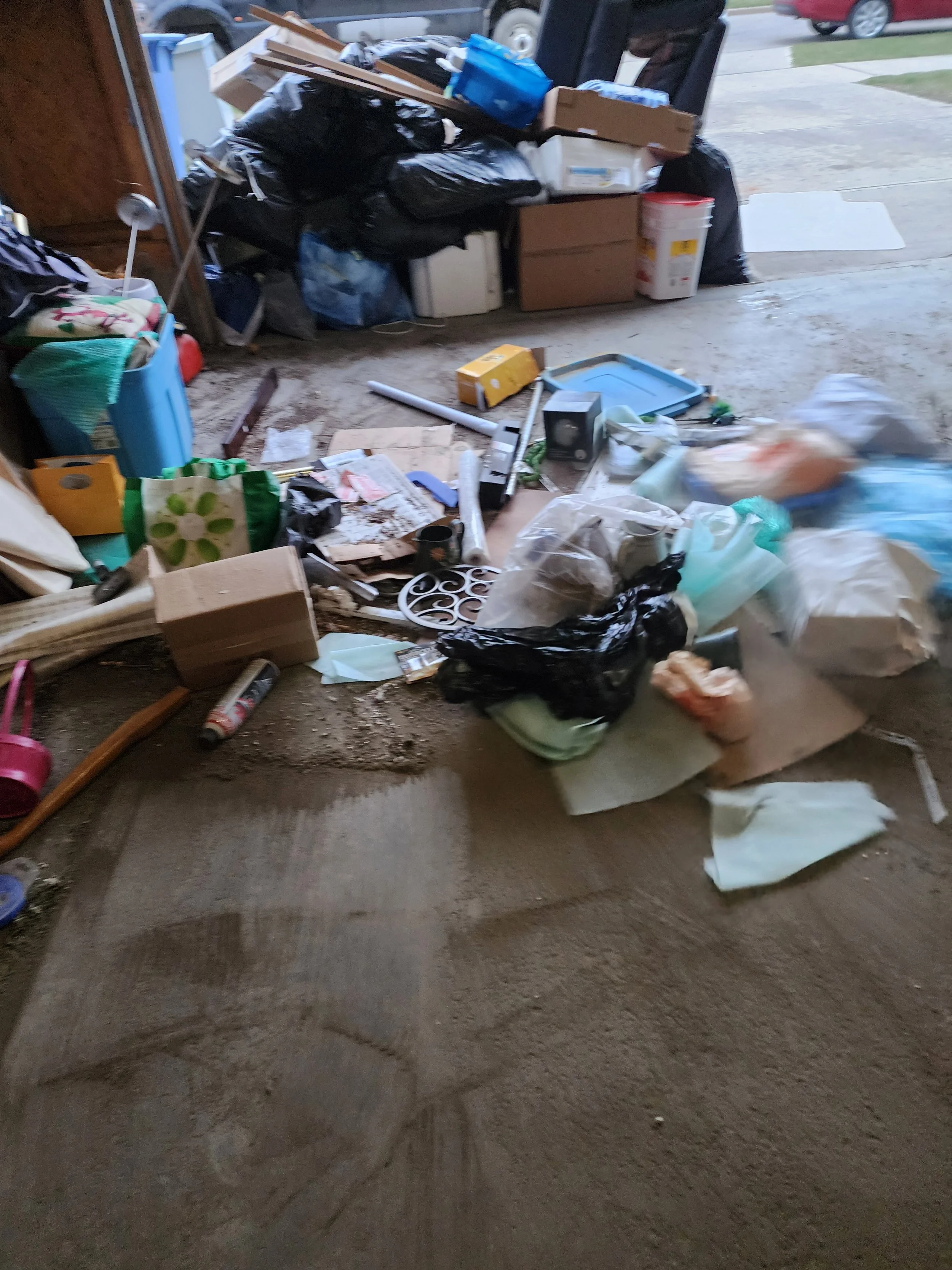 Garage Clean out/Up and Organizing