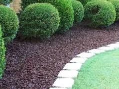 Mulch 6.jpg
