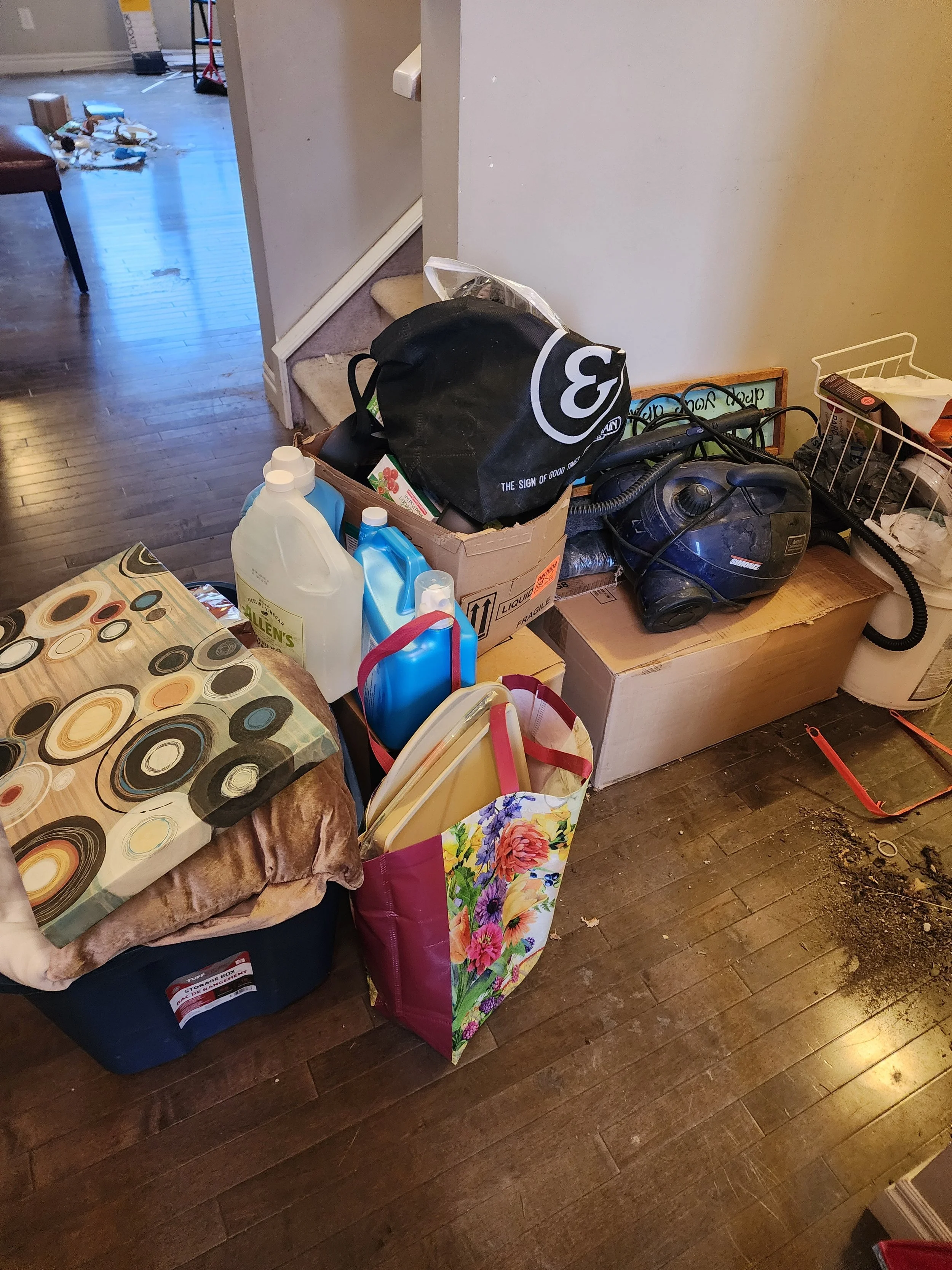 Home Organizing service