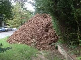 mulch 1.jpg