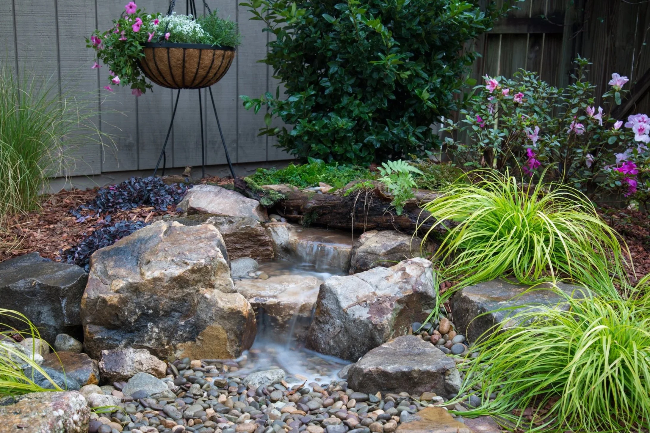 A small garden pond surrounded by rocks, green plants, and flowering bushes with pink and white flowers, enclosed by a wooden fence.