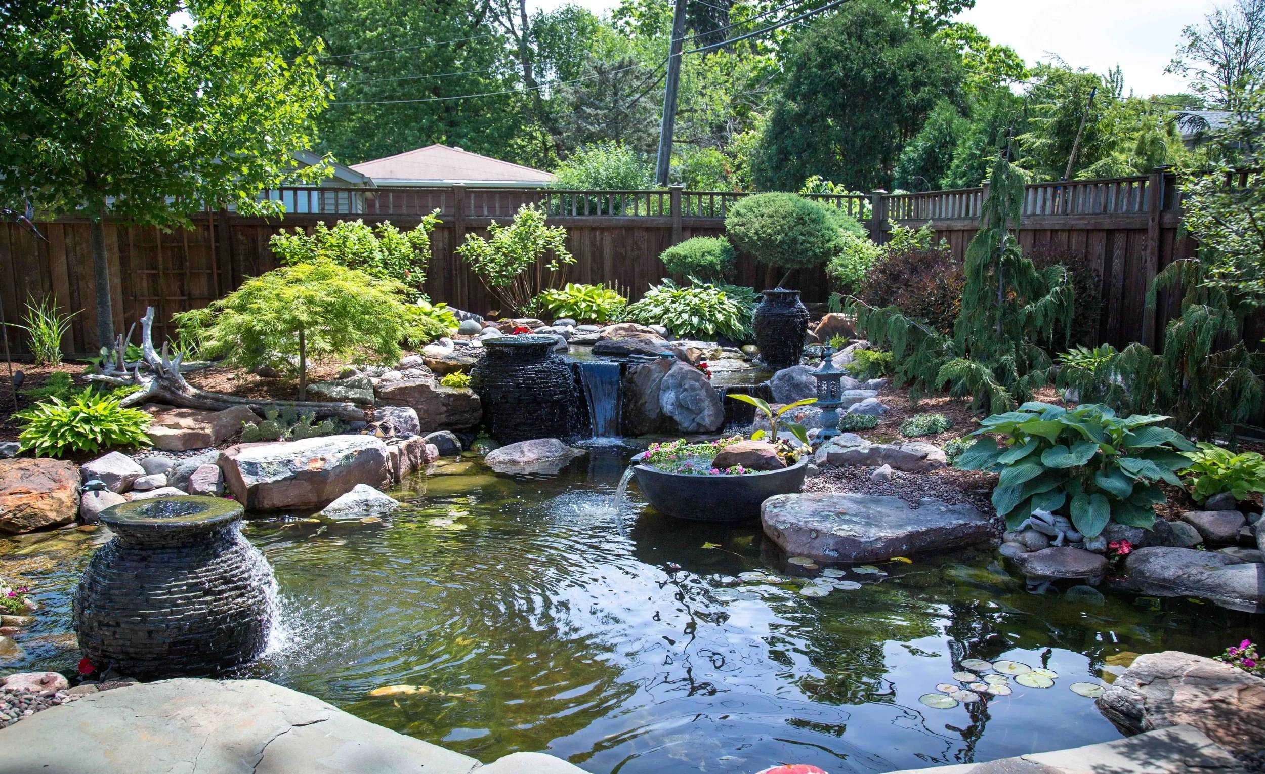 A backyard pond with waterfalls surrounded by various green plants and rocks, enclosed by a wooden fence, with trees and houses in the background.