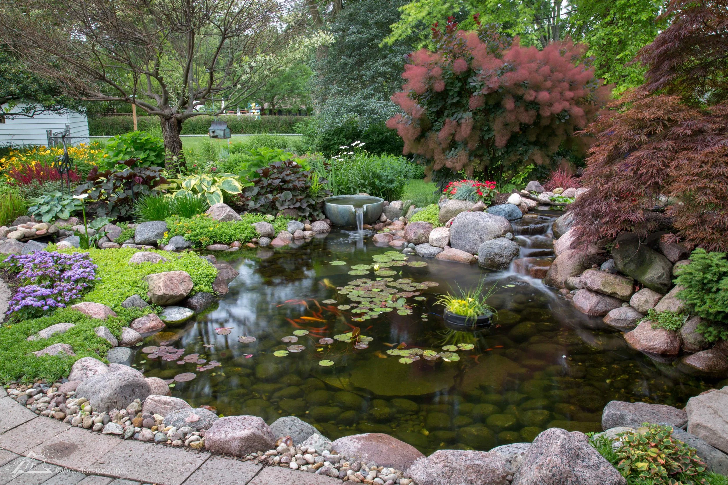 A lush garden with a small pond filled with water lilies and surrounded by various plants and rocks. There are trees with green and reddish leaves, a birdhouse, and a manicured lawn in the background.