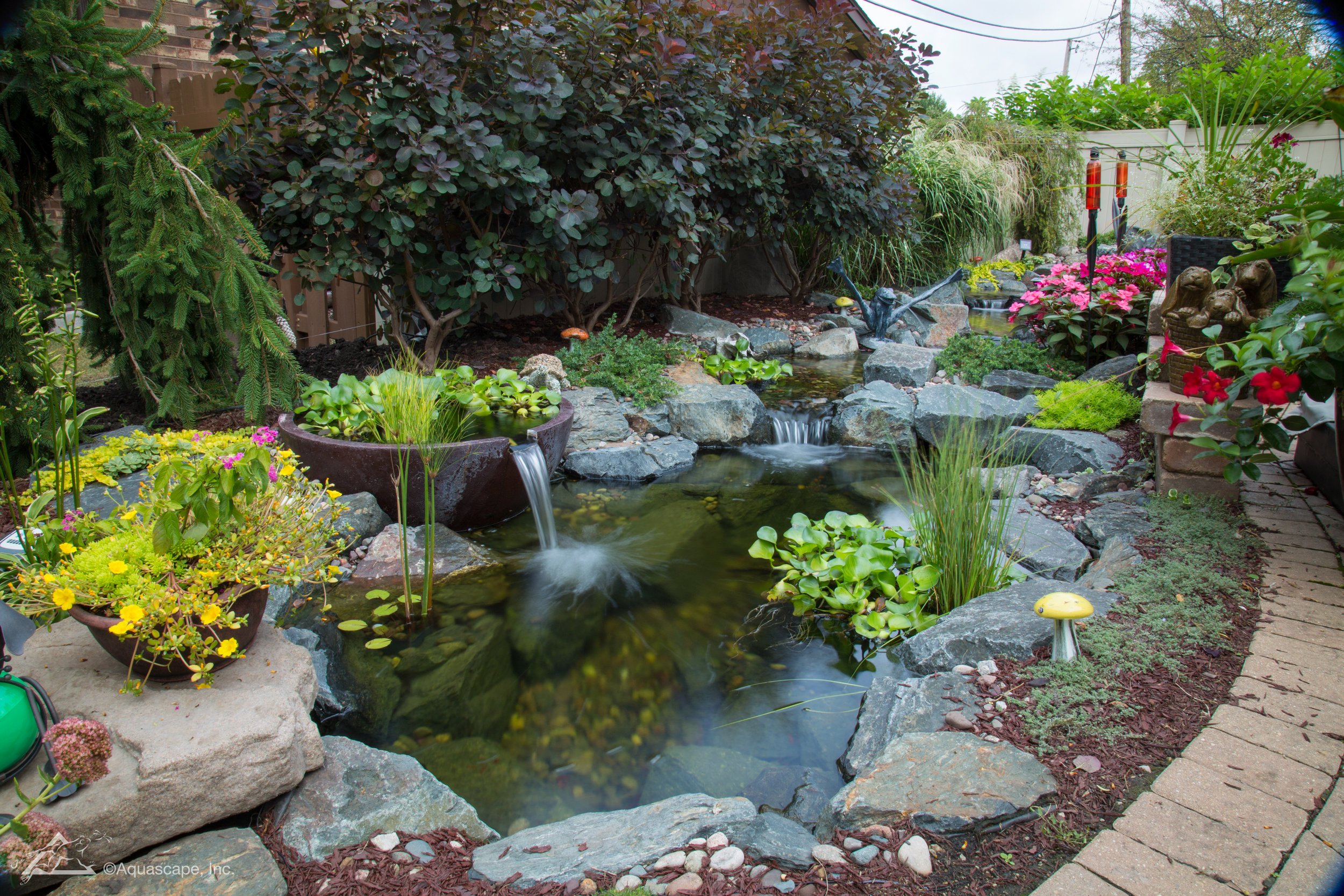 A backyard garden with a small pond and waterfall surrounded by rocks and lush green plants, including trees, shrubs, and flowering plants, with a stone pathway along the right side.