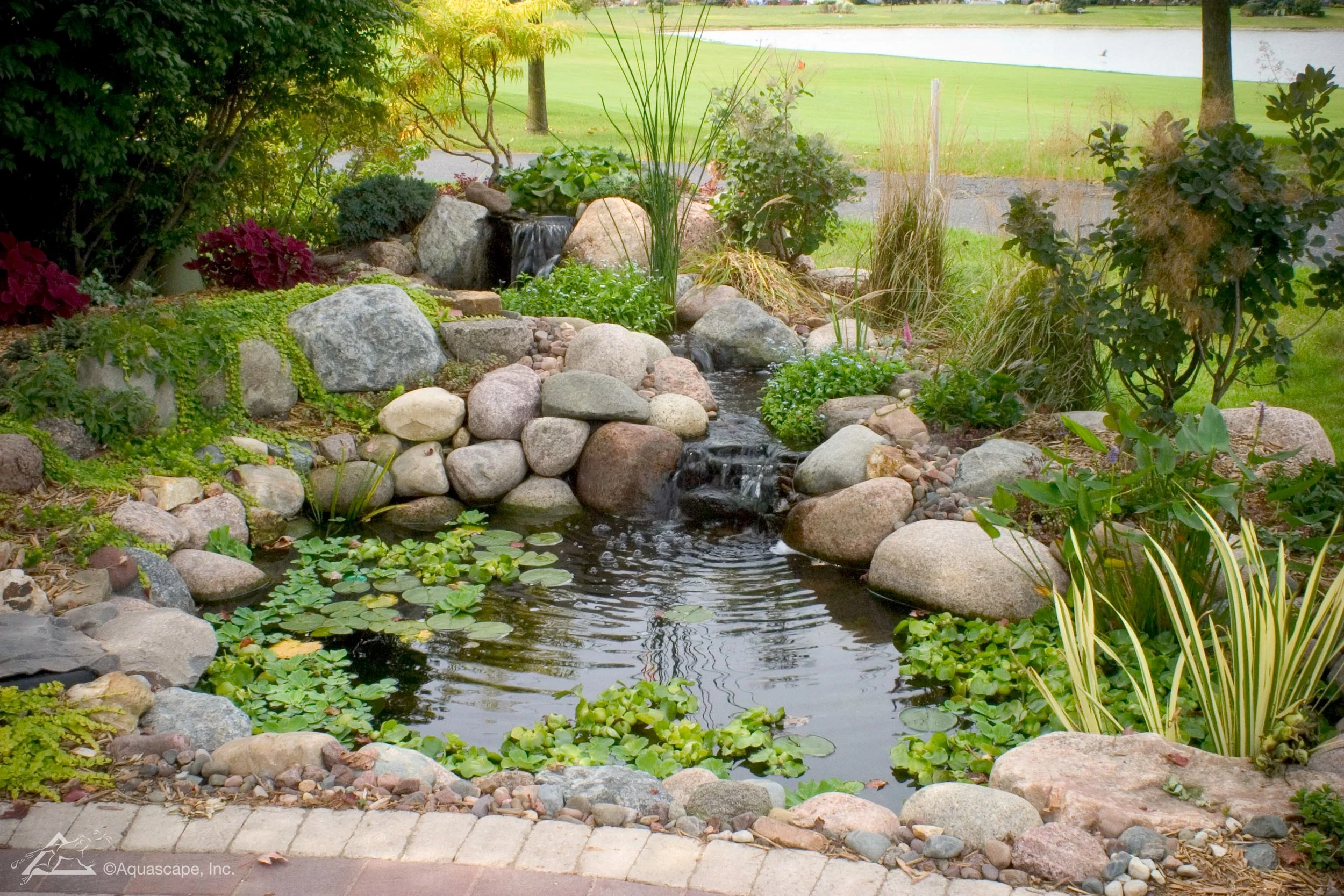 A small artificial waterfall flows into a pond surrounded by various plants and rocks, with trees and a grassy field with a body of water in the background.