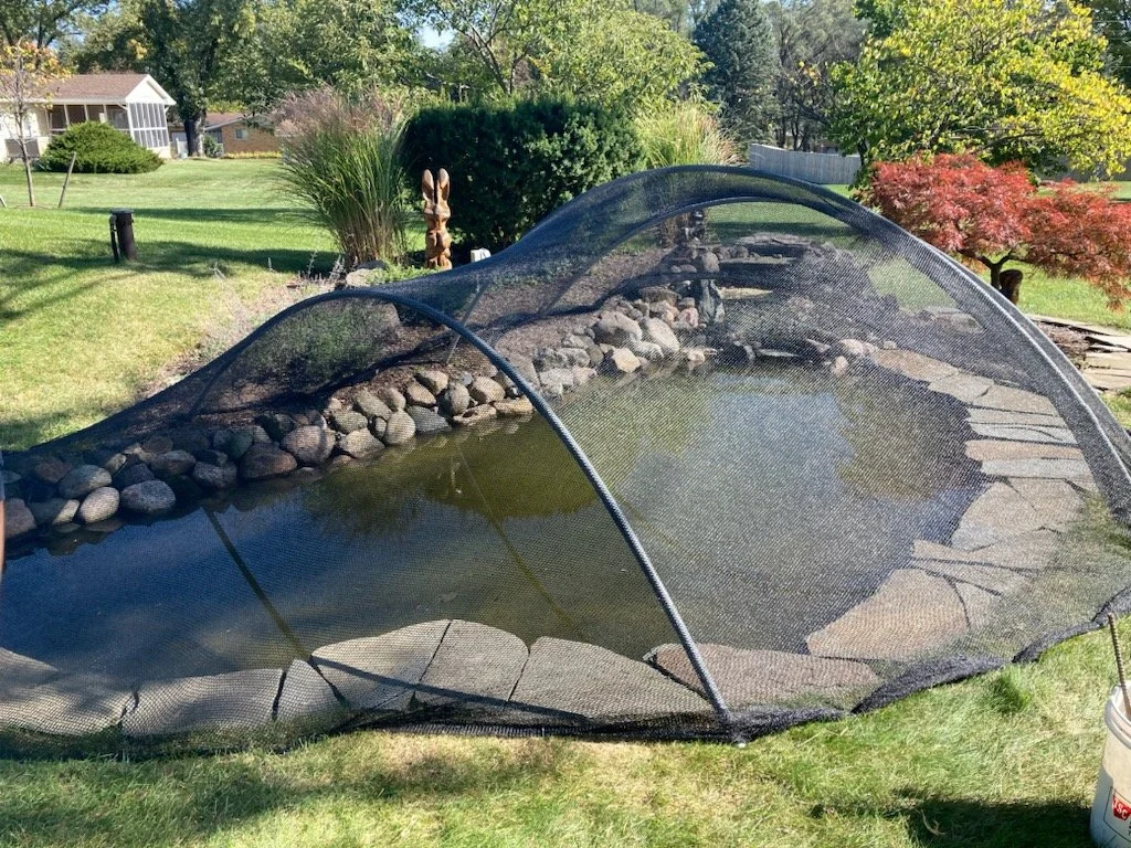 A backyard pond with a black net cover, surrounded by grass, trees, and shrubs, with a house and garden in the background.