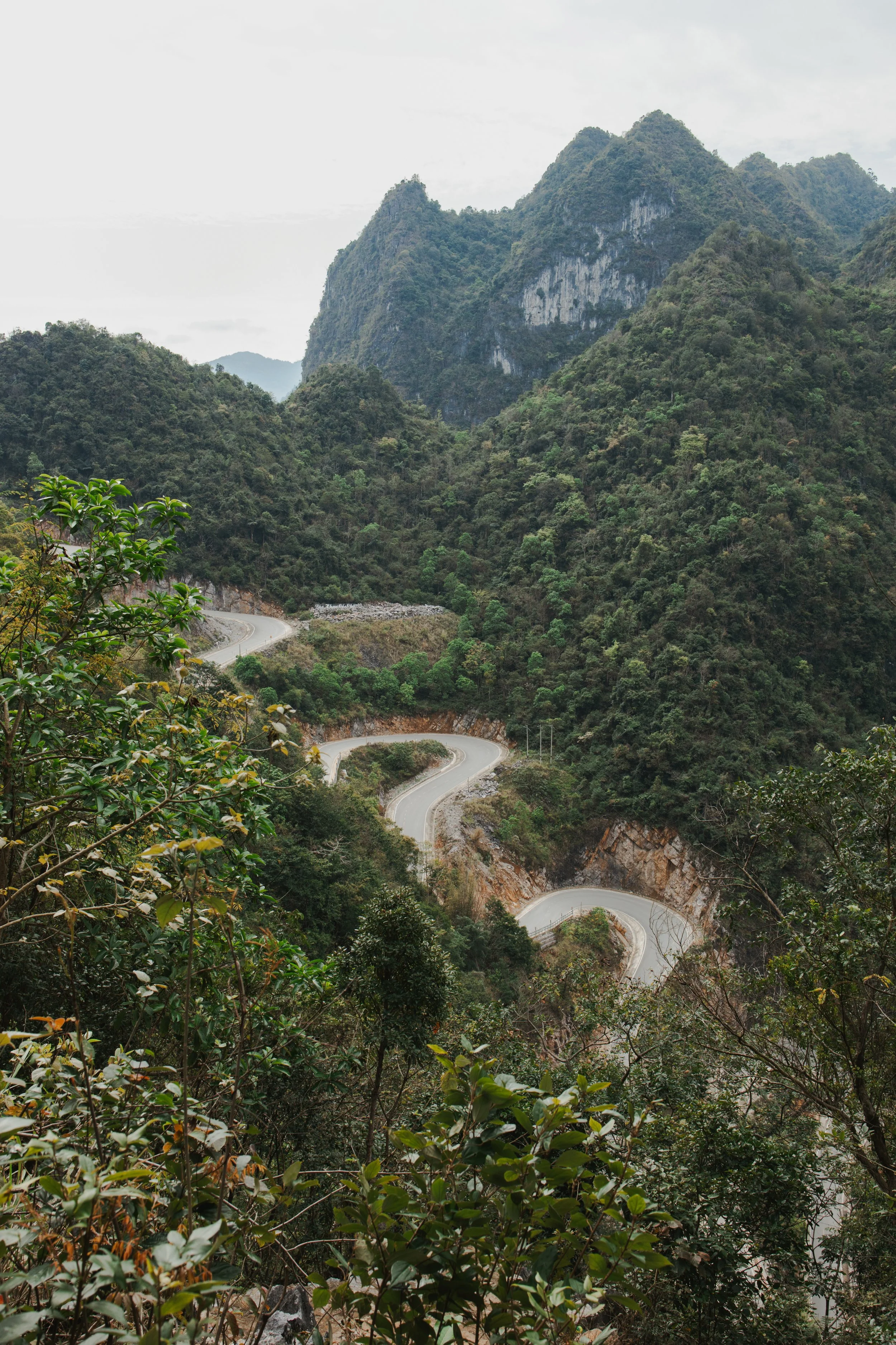 SophieSeayPhotography-WildWorldTours-Vietnam-765.jpg