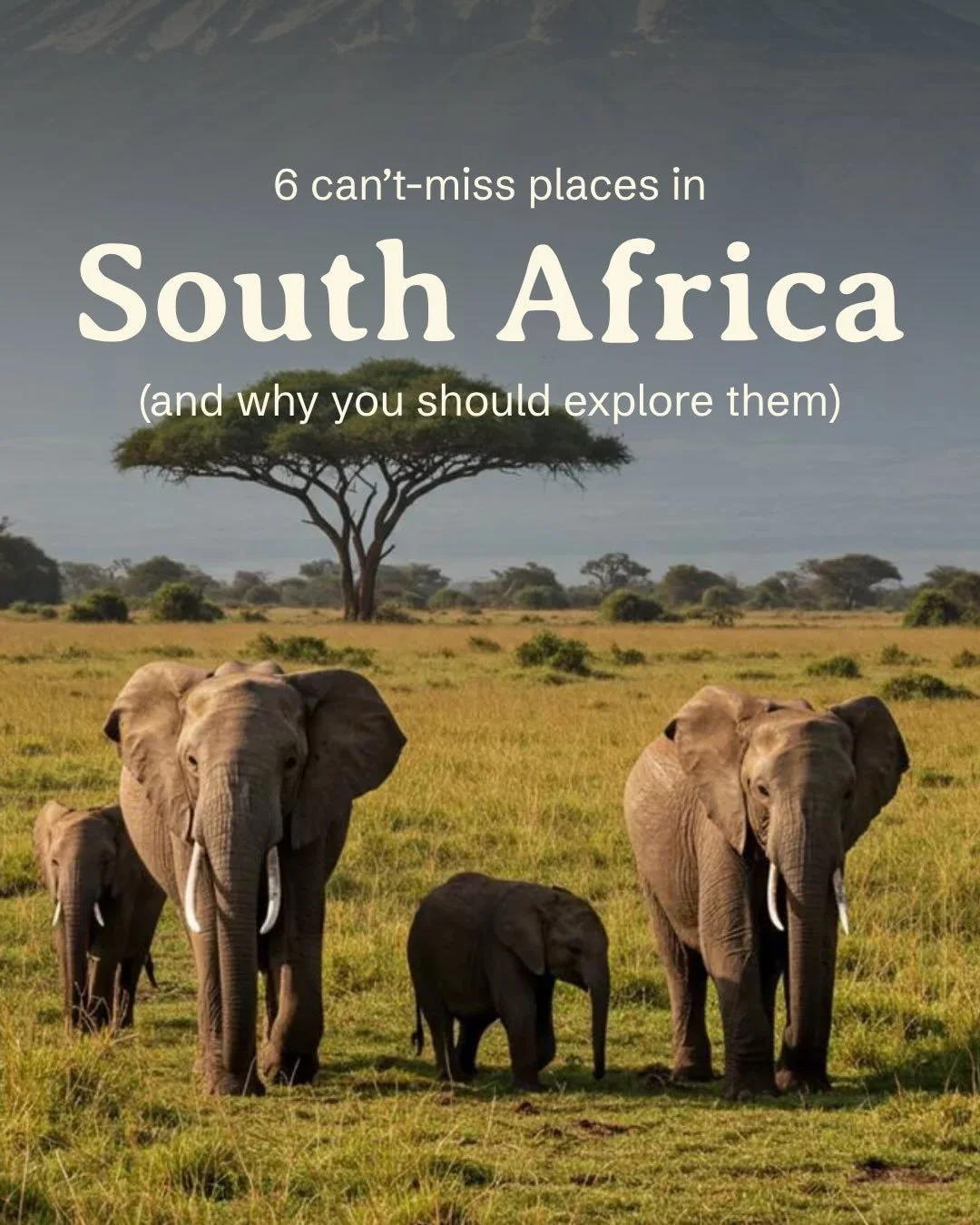 Make sure you check SAFARI off your wishlist&hellip; 🐆✨

We&rsquo;re going to SOUTH AFRICA 🇿🇦

📍 September 4 &ndash; 10

This September, we&rsquo;re heading straight into the wild&hellip;

🔥Waterfalls, canyon views, unreal sunsets 
🔥Safari days