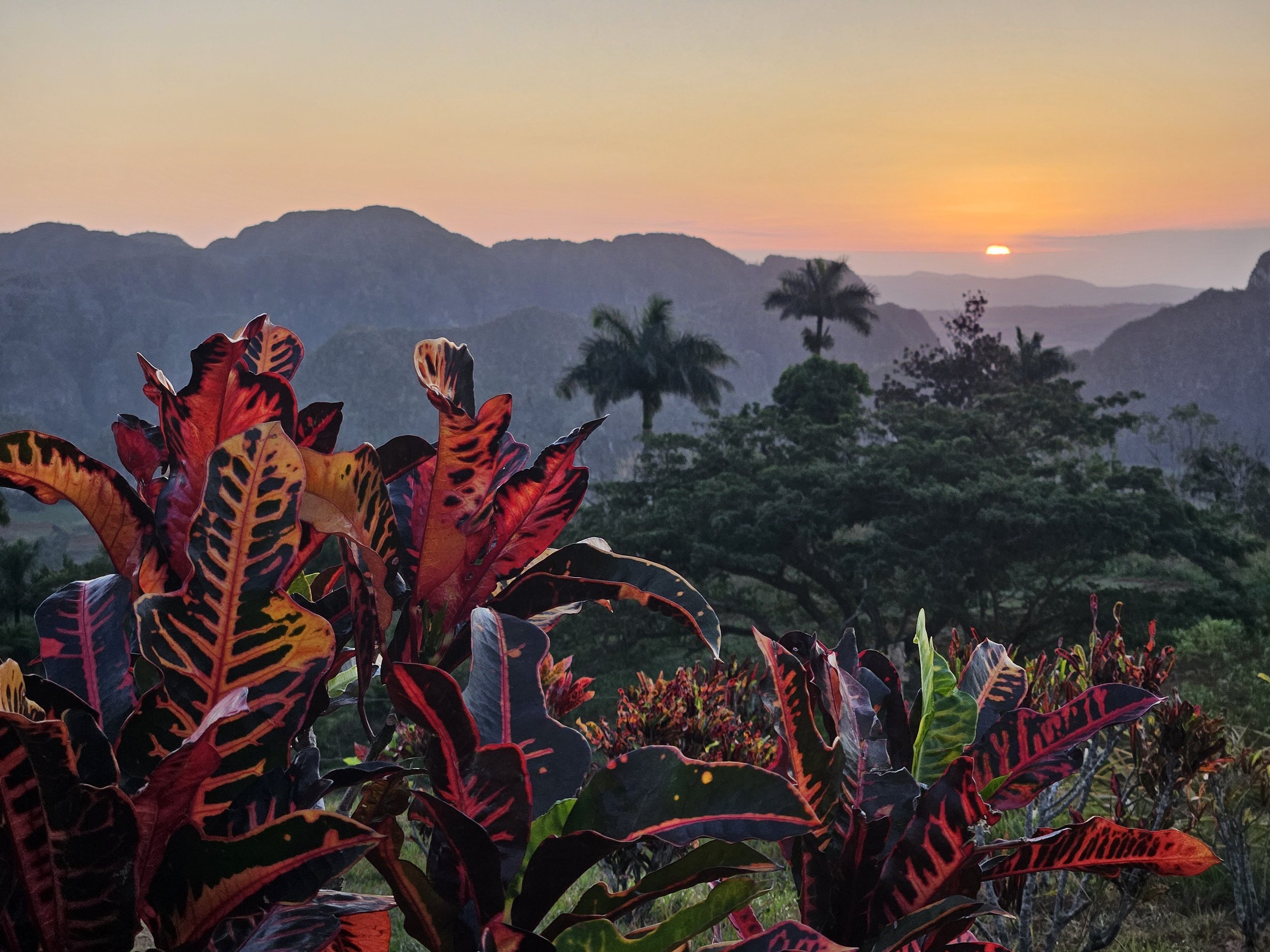 20250207_071550 3.JPG