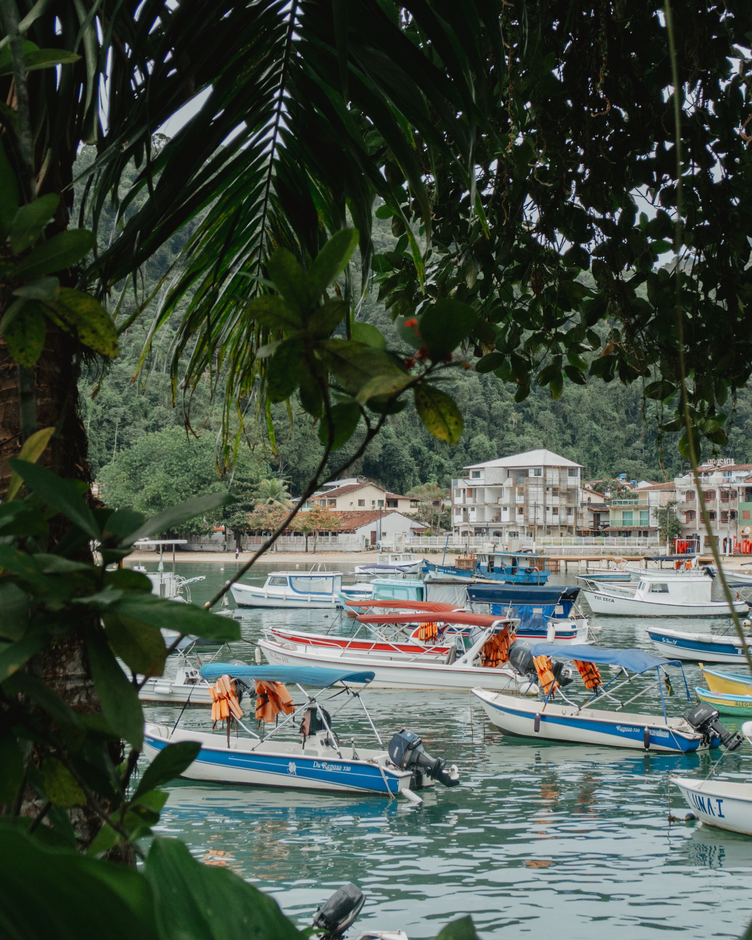SophieSeayPhotography-brazil-003.jpeg