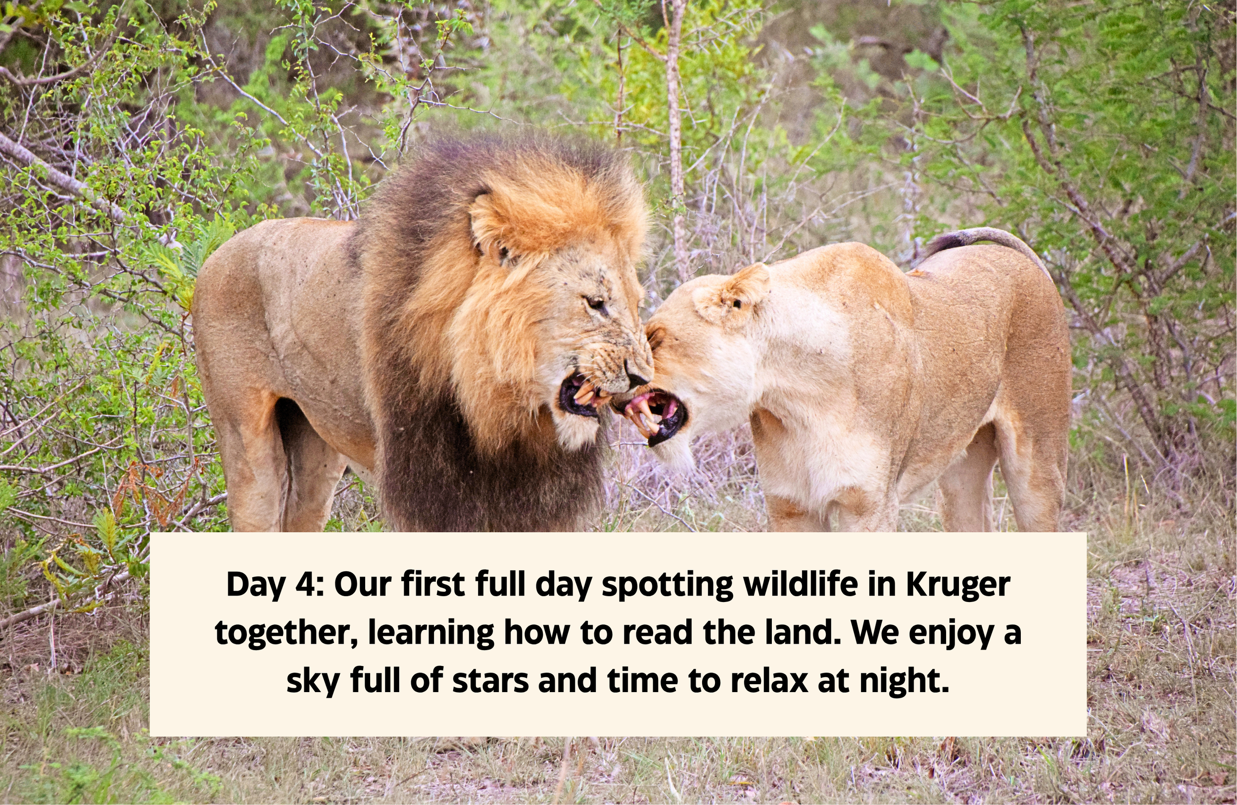 website workspace (12).png