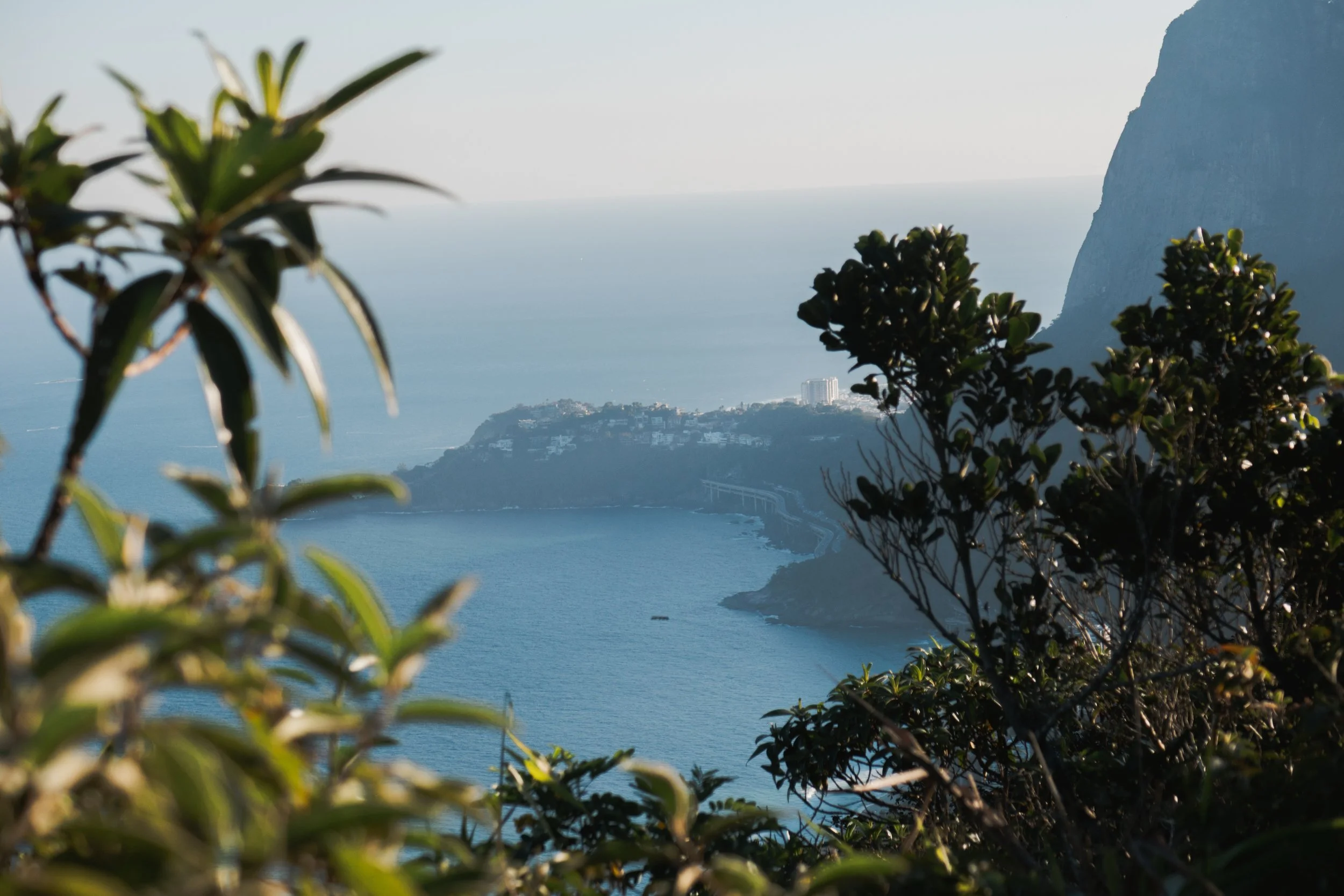 SophieSeayPhotography-brazil-506.jpeg