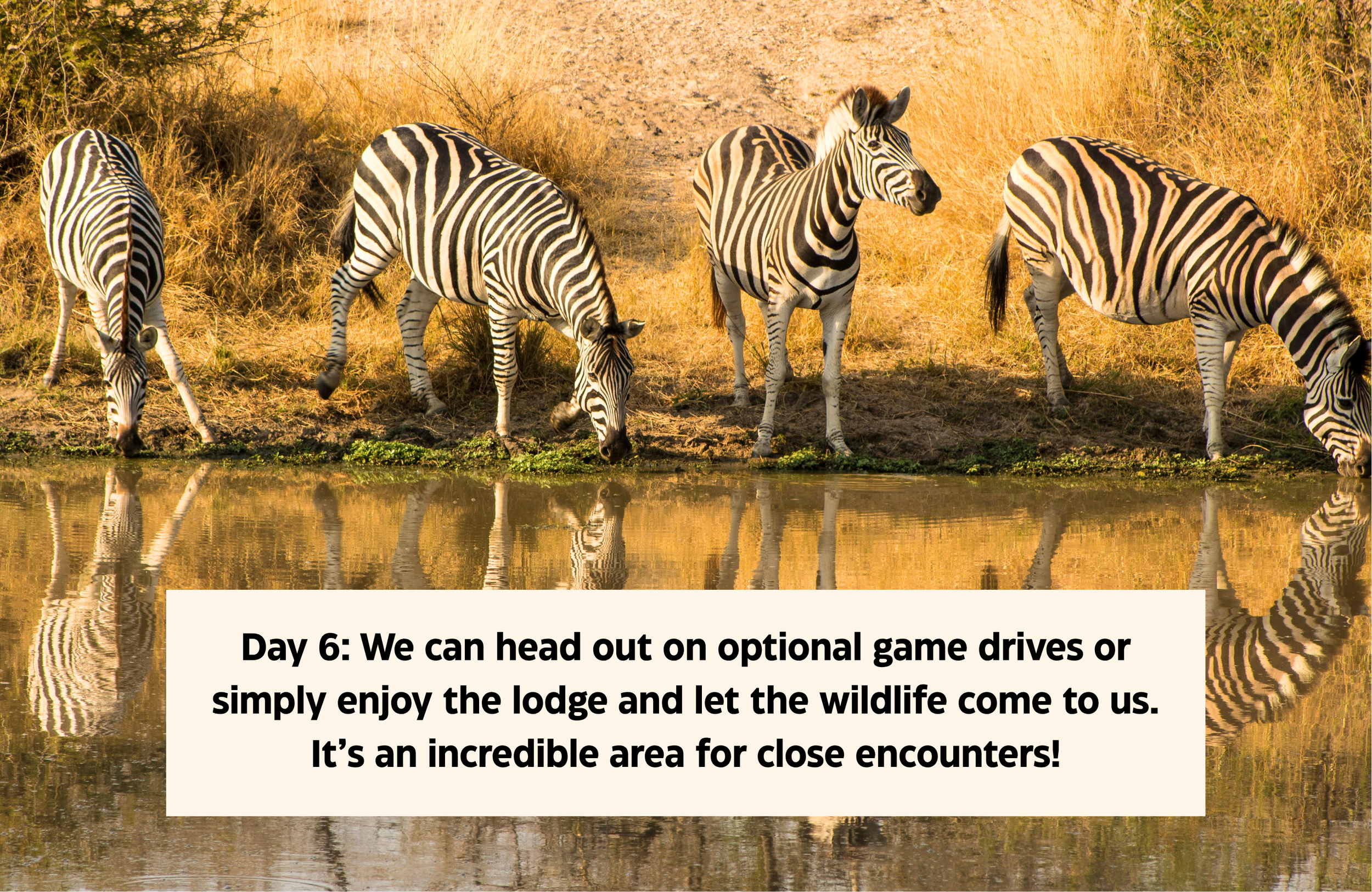 website workspace (14).png