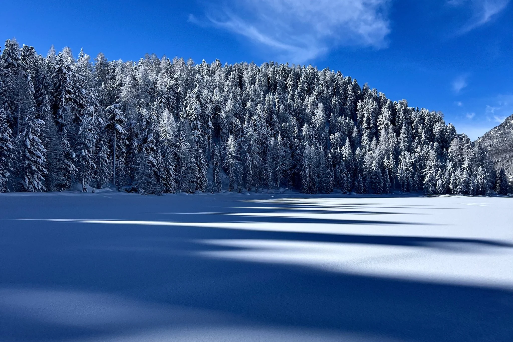 Frozen Lake Champfer and Snowy Trees Switzerland