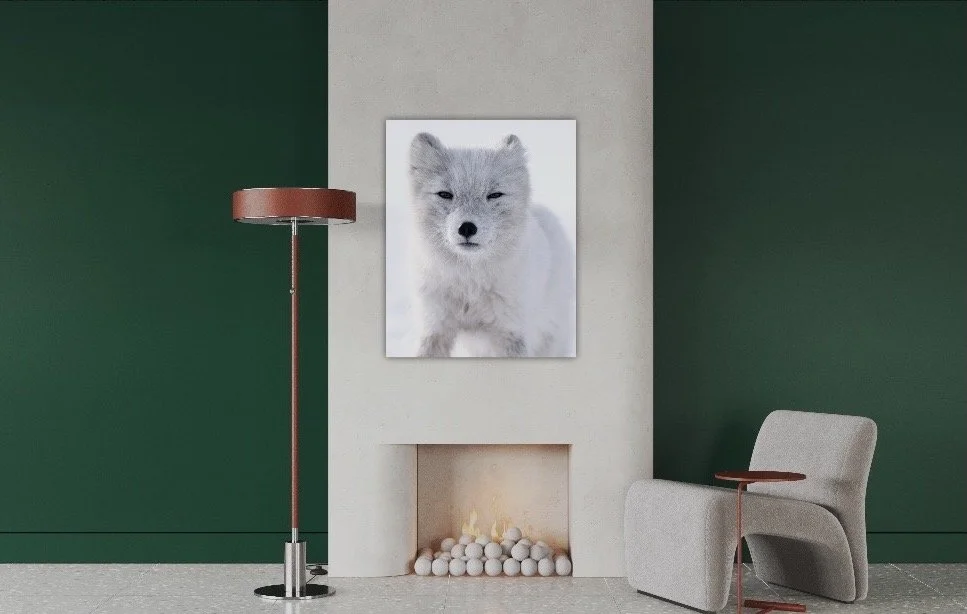 A modern living room with green walls with a white fireplace displaying a large photo of an Arctic Fox, a photo taking in Svalbard by Alex.