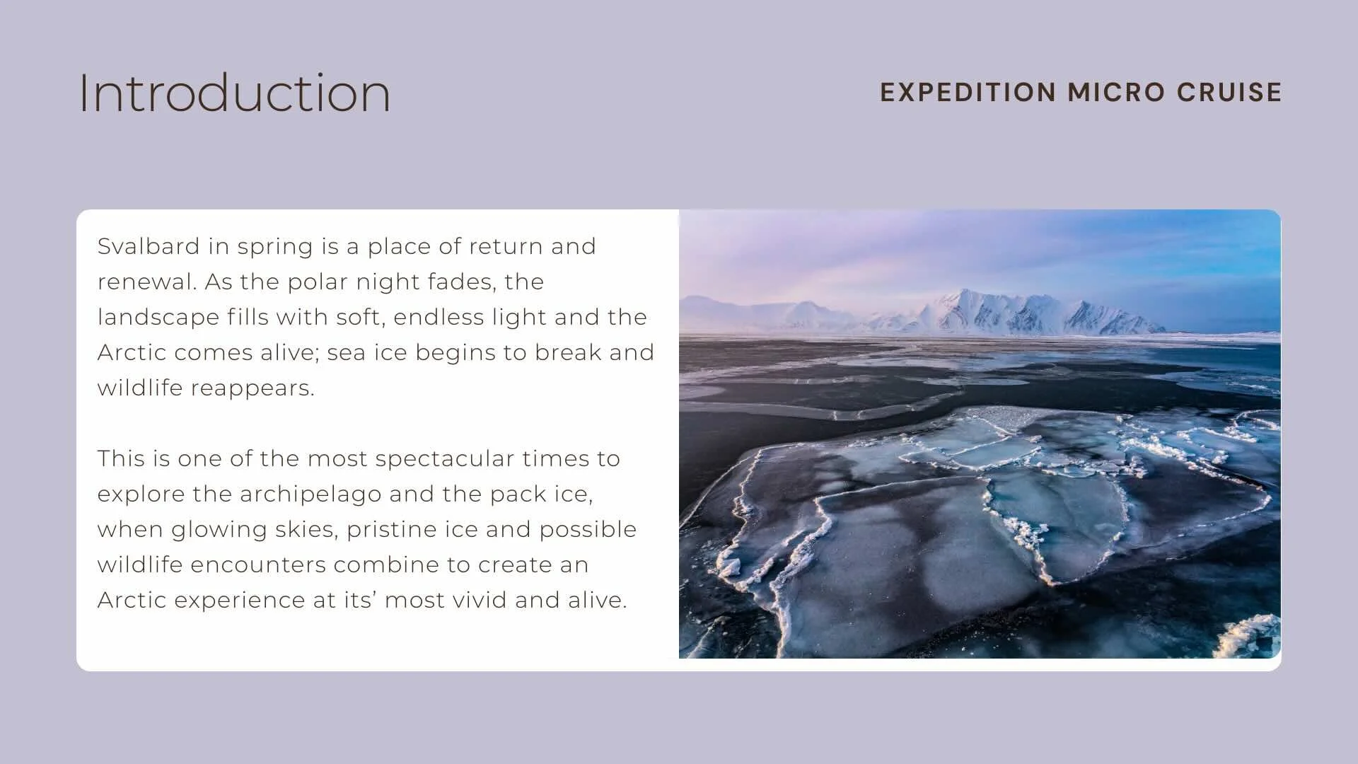 Svalbard Arctic Flyer page 2 including an introduction to micro cruising in Svalbard in spring time