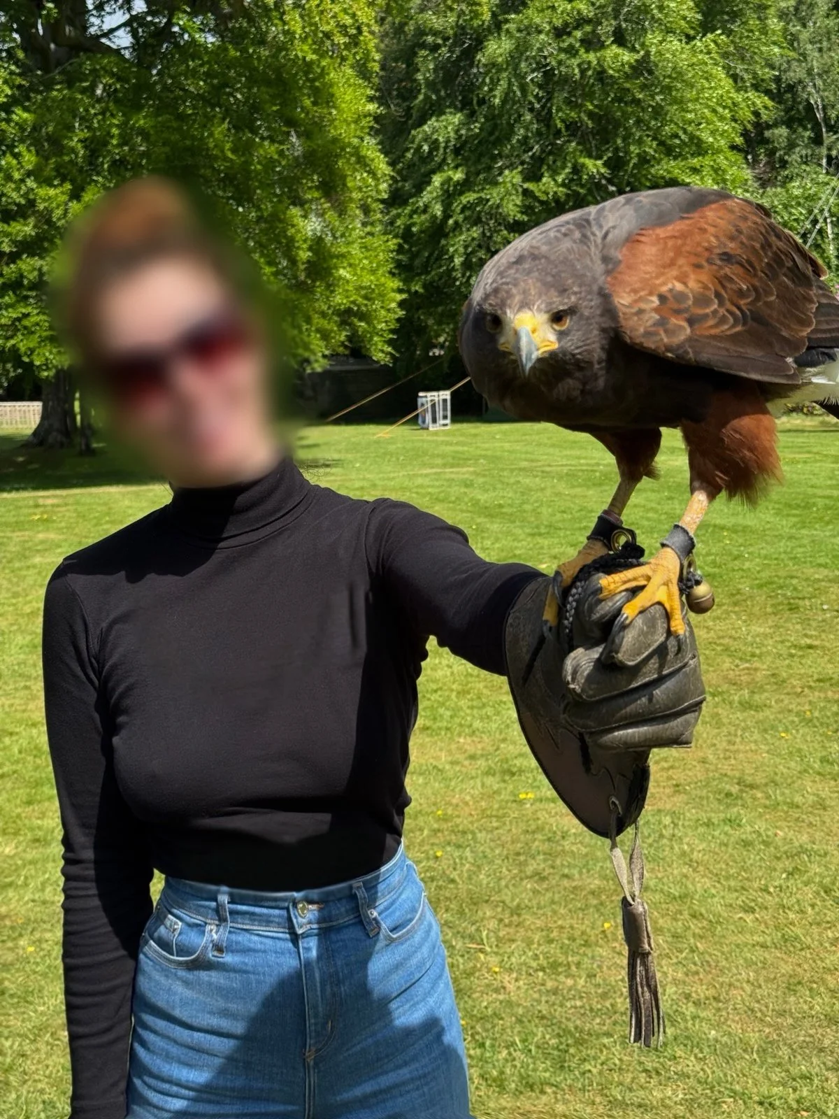 Brunette NYC escort and travel companion, Piper Leigh, wearing a black turtleneck, extends her arm out holding out a hawk in Scotland