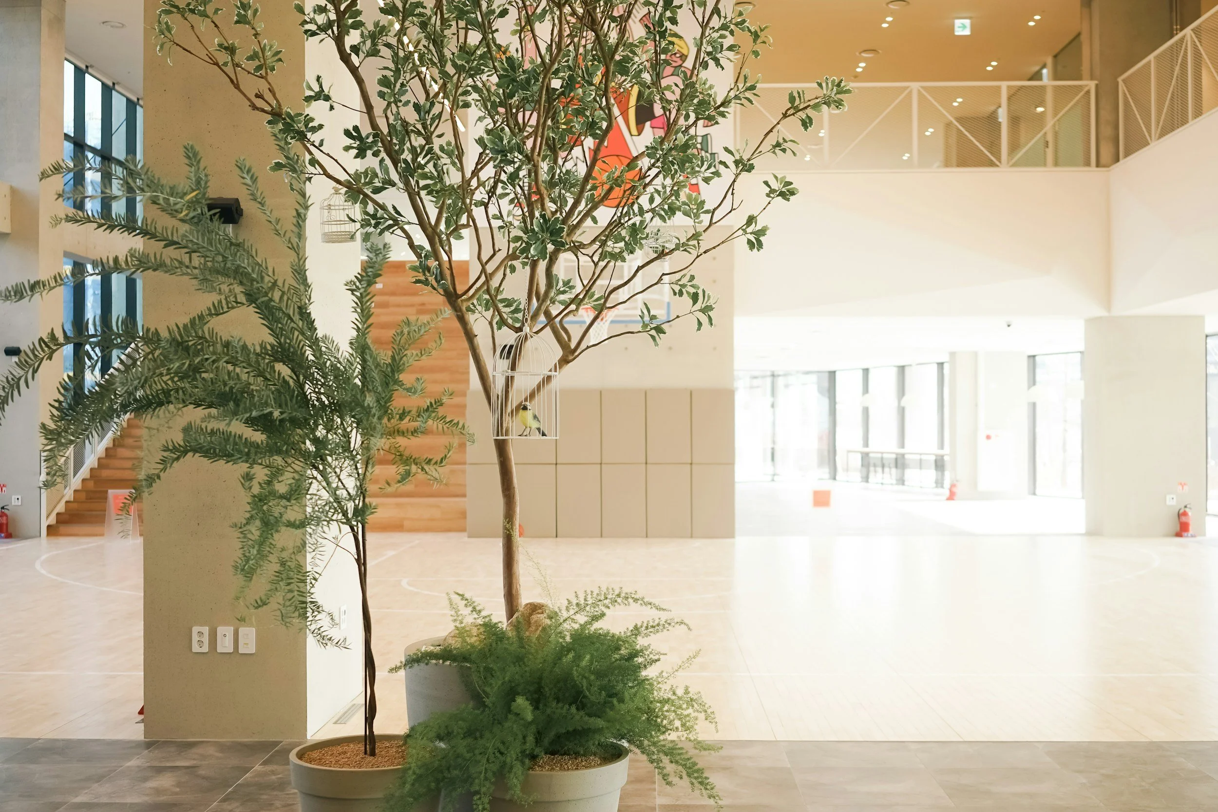 Modern commercial office building lobby with natural light and indoor landscaping representing common areas maintained through CAM charges